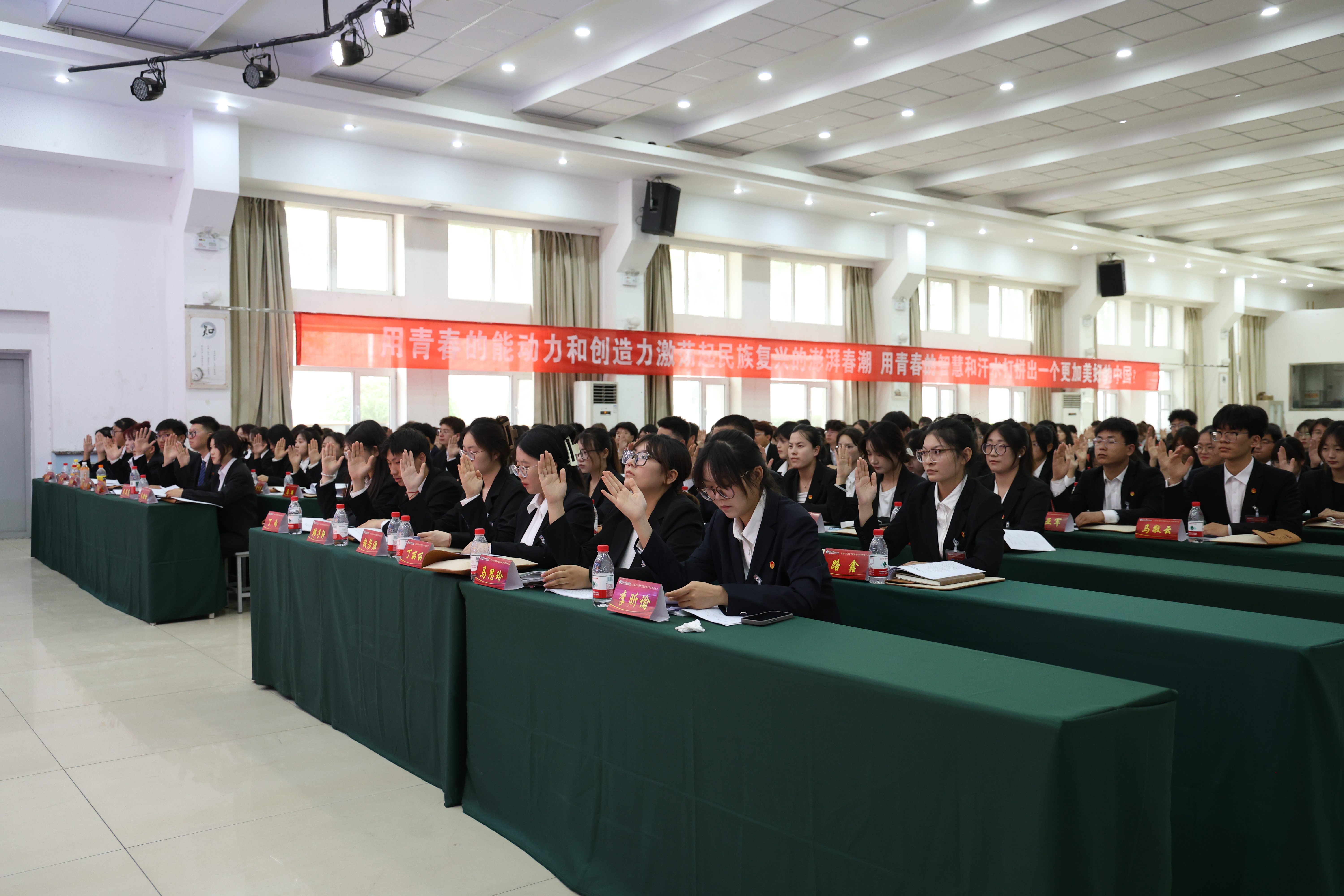 代表表决.JPG