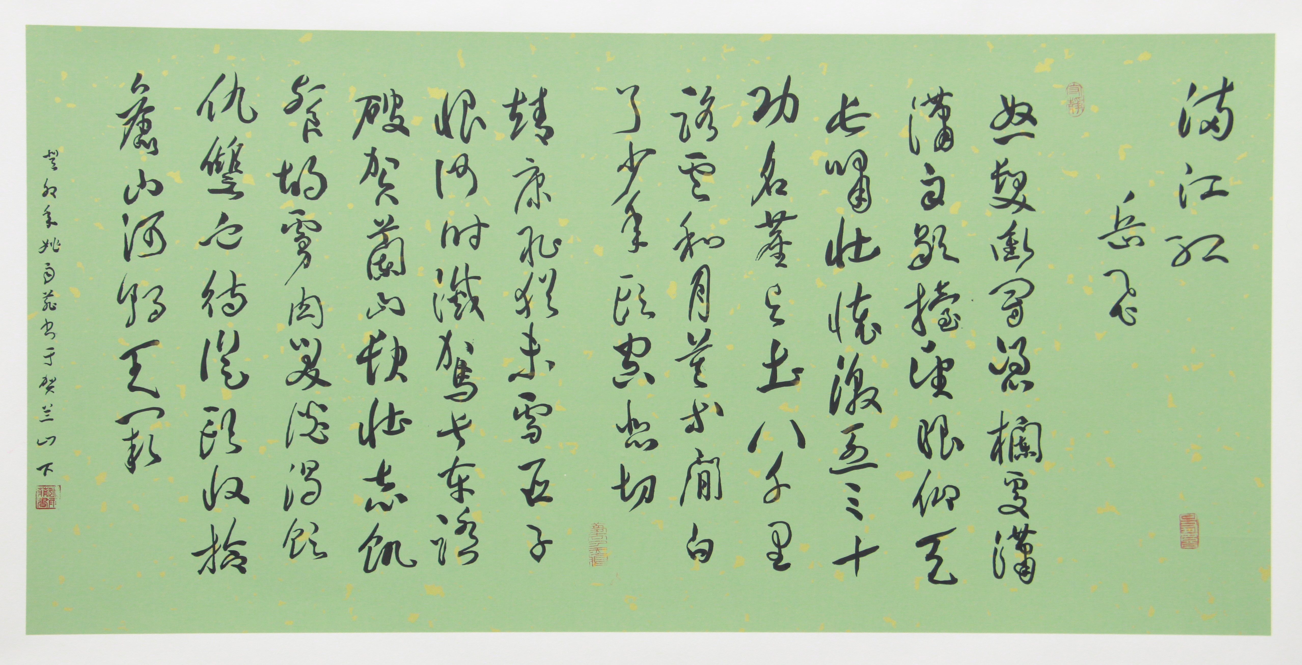 《满江红》姚雨菲.JPG